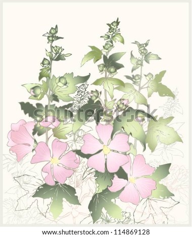 Pink flowers mallow with green leaves. Greeting card with mallow.
