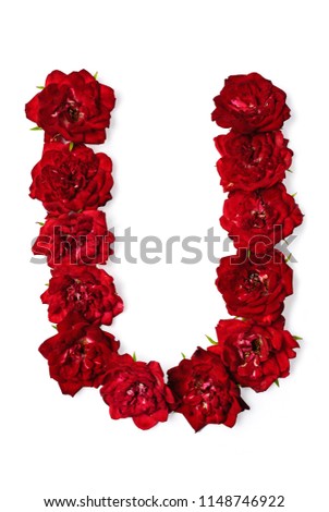 Letter of the English alphabet from red buds of roses on white background