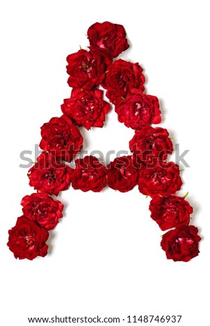 Letter of the English alphabet from red buds of roses on white background