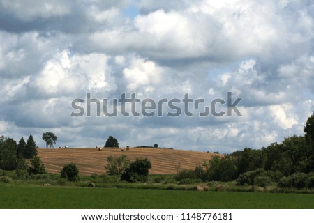 Summer country landscapes