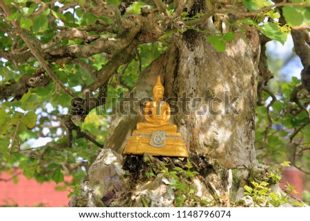 Golden Buddha under the Bodhi Tree