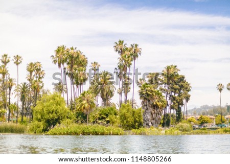 Palm Trees and view at Echo Park Lake in Los Angeles, CA