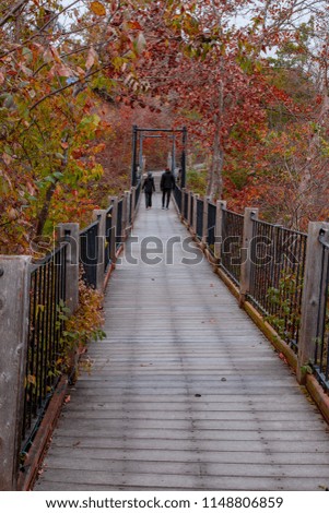 Couple Taking a Fall Walk
