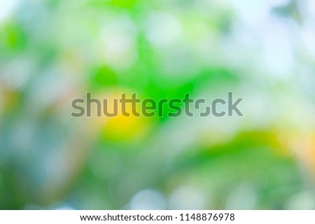 Abstract green bokeh nature background