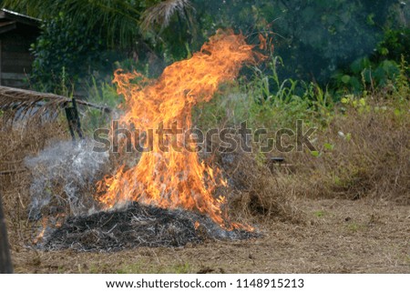 Dry grass burning