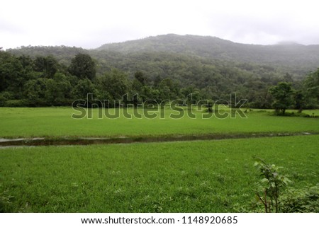 Kondana village in Karjat, situated near Mumbai, in the Indian state of Maharashtra, Its steep Ulhas Valley is lush in the rainy season, with a full river and waterfalls. 
 Royalty-Free Stock Photo #1148920685