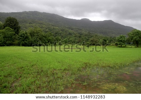 Kondana village side in Karjat, situated near Mumbai, in the Indian state of Maharashtra, Its steep Ulhas Valley is lush in the rainy season, with a full river and waterfalls. 



 Royalty-Free Stock Photo #1148932283