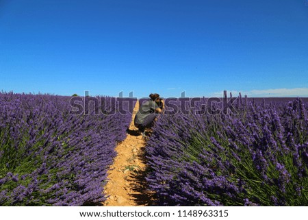 Man with dog in lavender field