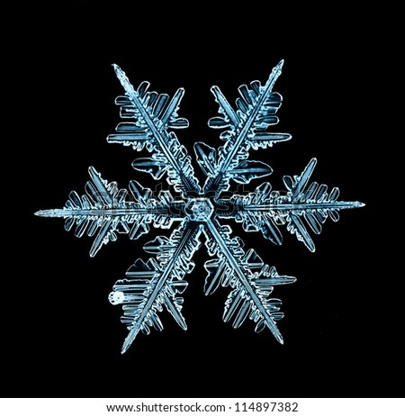 happy new year, natural Christmas snowflakes, Christmas stars, isolated background for design