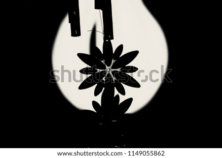 Stylish hanging plastic showpieces isolated unique black and white photo