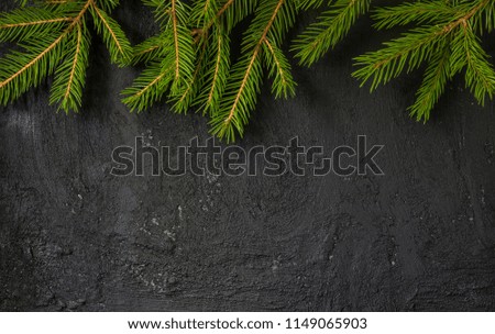 Christmas fir tree on black concrete background with copy space