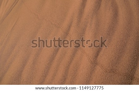 A Track at a Dune , Detail Picture at  Grit Sand ,