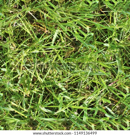 Photo realistic seemless texture pattern of green grass