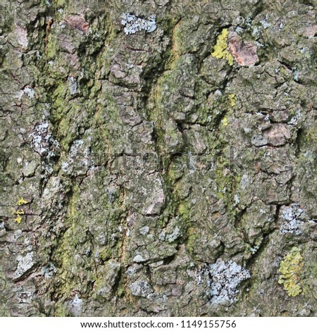Photo realistic seemless texture pattern of bark