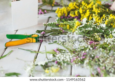 Professional garden pruner or scissors or secateurs with flowers on a wooden white background.  
