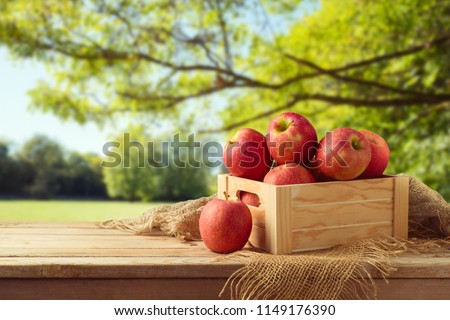 Red apples in wooden box on table. Autumn and fall harvest background