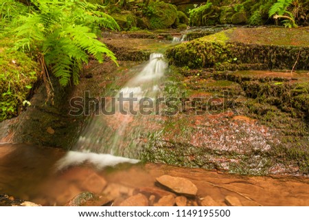 Little waterfall in Wolfsschlucht captured in contrasty idyllic image 