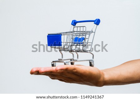 The shopping cart in men hands isolated