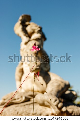 Close up of a delicate pink flower having the statue of Ahile in the background.