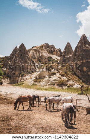 A gorgeous brown and white horses on glade. Behind is a beautiful landscape with Fairy chimneys and tall cone-shaped rock formations clustered in Cappadocia.