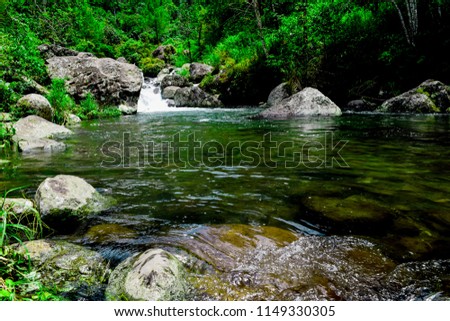 small river on the edge of a forest that has not been polluted