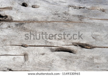  Wooden texture. Naturally in age by time. Presence of different shades