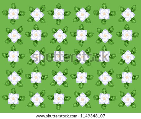 jasmine flower pattern vector