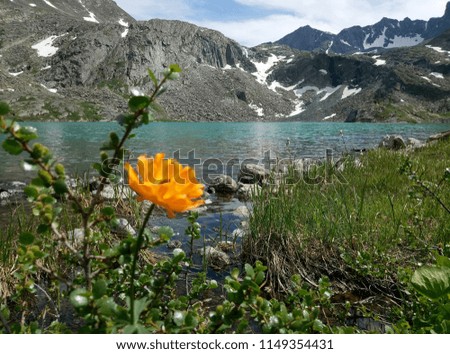 Pictures of the mountain altai.  