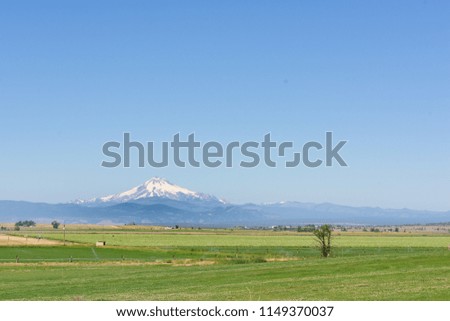 Mount Jefferson mountain range seen across Oregon's wheat field plains, USA