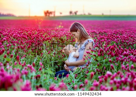 Beautiful young mother, breastfeeding her toddler baby boy in gorgeous crimson clover field on sunset, springtime