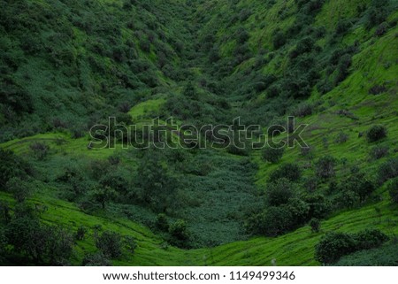 Aerial view of farm field plots pattern, Lush green monsoon nature landscape mountains, hills, Purandar, Pune, Maharashtra, India 