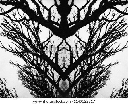 Symmetrical display of the tops of trees, turned into a tree of life.