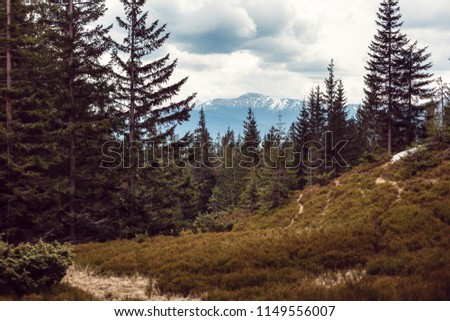 landscape in mountains Carpathians Ukraine, Dragobrat Horizontal image
