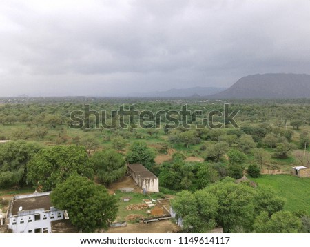bird eye view of trees ,a natural scene