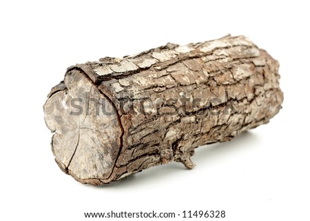 log on white, shallow depth of field Royalty-Free Stock Photo #11496328