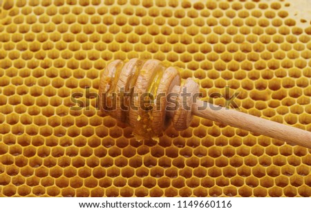 Honey dipper with honey on the honeycomb.