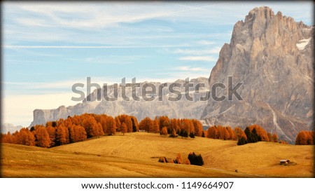 Dolomites (Italy): autumn; ochre fields with a thin red line of trees which splits the picture; behind it mountains and a light blue sky