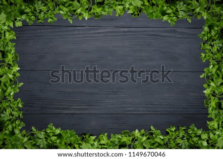 Black wooden background with fresh parsley along the perimeter and a place for copy space