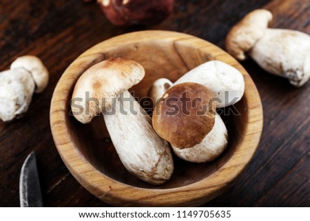 harvest of mushrooms boletus in a plate on a wooden background. place for text
