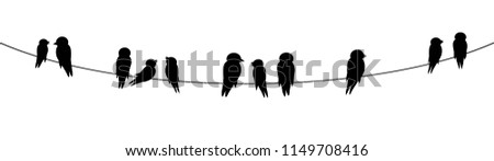 black silhouettes of birds sitting on wire decorative clip art isolated on white background