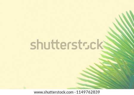 Tropical background Palm leaves Bright sunny colors Copy space