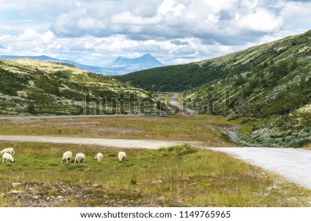 View of the Storsolnkletten mountain from the national tourist route Rondane, Norway Royalty-Free Stock Photo #1149765965