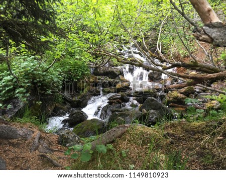 Waterfall in the woods