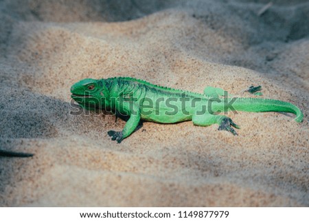 plastic toy in the form of a green lizard on the sand