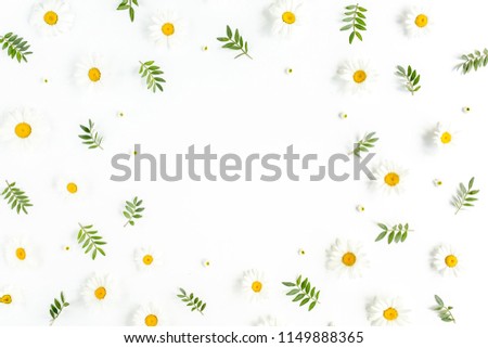 Frame made of chamomiles, leaves and petals on white background. Flat lay, top view floral background.