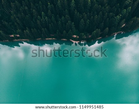Aerial top view of magically beautiful color water meets the shore with a beautiful fir-tree coniferous forest. Bird's eye view of turquoise reservoir basin, unique place in Natural Protected park