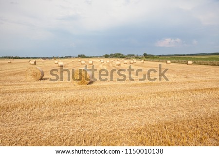 after harvesting the crop, a hay bale was made with the surplus