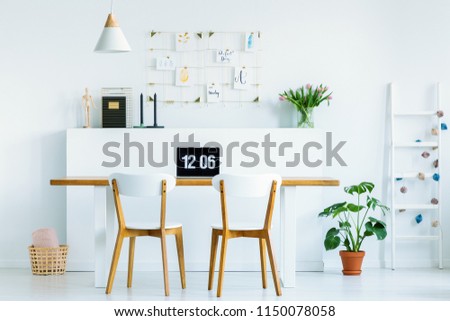 Real photo of laptop with time screensaver placed on wooden desk with two chairs in workspace living room interior with pink tulips and plant on the floor