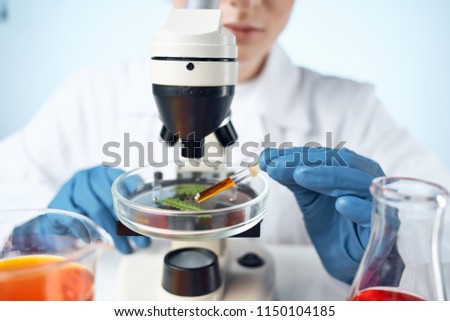 microscope pipette with liquid green leaves and blue gloves                              