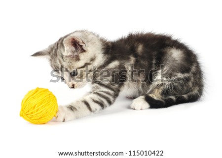 Grey kitten playing with yellow clew isolated on white background